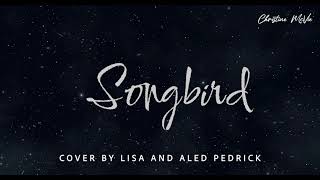 Songbird  Christine McVie Cover by Lisa and Aled Pedrick [upl. by Htennek]