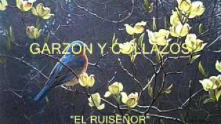 Garzón y Collazos  El ruiseñor  Colección Lujomarwmv [upl. by Greenebaum]