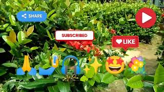 Utra na dil mein koi  kumar sanu  Uff yeh mohabaat  For entertainment pleasure view 🙏🤳🎧✨🤩💐 [upl. by Ayatahs638]