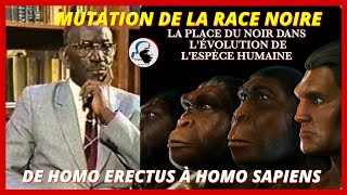 Cheikh anta DIOP L apport de l Afrique dans la civilisation universellemotif deplacement [upl. by Tnarb542]