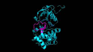 Noncompetitive allosteric inhibition of Tyrosine Kinase inhibition with Imatinib Gleevec [upl. by Clemmy]