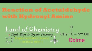 Reaction of Acetaldehyde with hydroxyl amine Acetaldoxime N  ethylidene hydroxylamine Class12 [upl. by Atteuqehs]