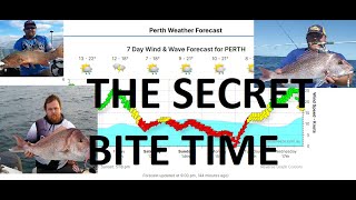 when is the best time to go fishing  how to understand peak bite times  lunar tides weather [upl. by Nidnerb]