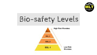 Biosafety Level 1 2 3 4 in hindi  Biosafety level easy explanation [upl. by Iolande]