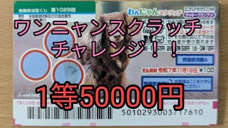 【スクラッチチャレンジ】ワンニャンスクラッチチャレンジ1等5万円でるか！！ [upl. by Ebneter]