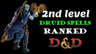 Druid spells ranked 2nd level DampD [upl. by Cumings113]