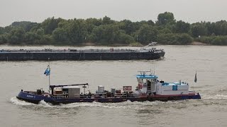 Scheepvaart op de Rijn  Shipspotting on the Rhine  Tolkamer  Europakade  vracht cargo  HD [upl. by Kenta]