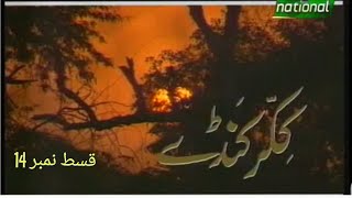 Ptv Old Drama Serial Kikar Kanday Episode 14 PTV NATIONAL [upl. by Aehcim185]