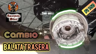 🚨Cómo cambiar balata trasera o zapata de la ITALIKA FT 150 GRAFITO  ESCORPIÓN BIKER [upl. by Yarvis68]