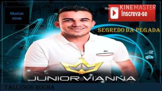 Junior Vianna  Segredo Da Pegada  Música Nova  Dezembro 2016 [upl. by Cung]