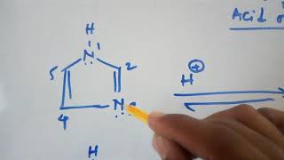 Imidazole acidic or basic [upl. by Alverta]