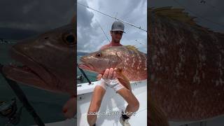 Cubera Snapper Costa Rica [upl. by Wilmar]