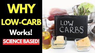 The Science Behind The Success of Low Carb Diets Unveiled [upl. by Tran973]