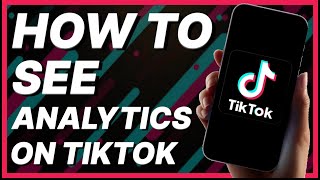 How To See Analytics On TikTok 2024 [upl. by Eeramit470]