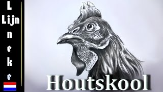 Tekenen met HOUTSKOOL en gumpotlood [upl. by Trant]