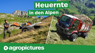 Heuernte mit Olympiasieger Johannes Strolz ⛷️🥇Ibex G2 Motormäher und Lindner Unitrac 122 LDrive [upl. by Kirre]