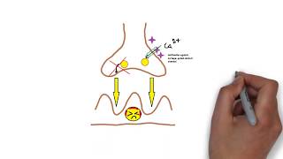 Lambert Eaton Syndrome Internal Medicine [upl. by Jehius575]