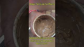 Magic Fertilizer for Plants Seeds and Fertilizers for Sale contact only WhatsApp 8801719727 [upl. by Shevlo]