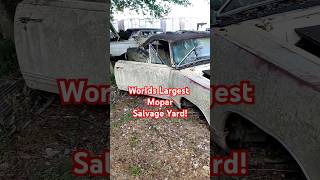 Salvage Cars eyed for Moving salvage mopar dodge chrysler plymouth barnfind oldschool [upl. by Adnaloy]