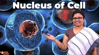 Nucleus Structure and Function  Cell [upl. by Bena]