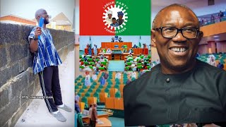 They used Peter Obi House of Representatives members used Peter Obi as ladder and then dump [upl. by Atiuqehc]