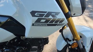 I Bought A 2025 Honda Grom [upl. by Nodababus]