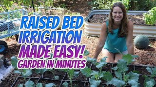 Quick and Easy Raised Bed Irrigation System  Garden In Minutes [upl. by Kcyred]