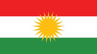 MyHeritage DNA test Kurdish [upl. by Deste]