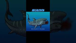 Otodus megalodon [upl. by Parry]