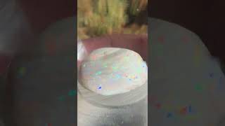 Precious Gem Opalized Shell from Coober Pedy South Australia [upl. by Meedan]