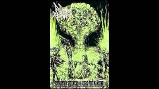 Purification Kommando Denmark  Radiation Sickness A Cure for Mankind ep 2013avi [upl. by Ytsrik]