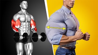 Best Biceps and Triceps Workout at Gym [upl. by Mccollum462]