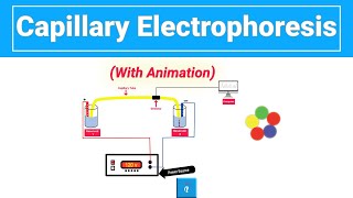 Capillary Electrophoresis with animation [upl. by Nylodnewg]