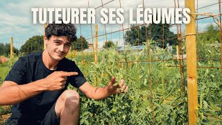 POURQUOI ET COMMENT TUTEURER SES LÉGUMES [upl. by Weld247]