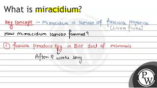 What is miracidium [upl. by Nylinej]