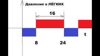 СИНЯЯ кровь 8 ударов КРАСНАЯ кровь 16 ударов ТРЕНИРОВКА [upl. by Barcus]