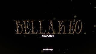 BELLAKEO Remix  Treekoo Remix 🐯  Anitta amp Peso Pluma [upl. by Marlo]