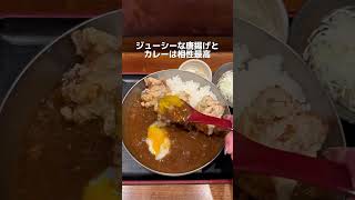 カレー食べ放題が850円！？ food foodie japanesefood グルメ 東京 東京グルメ 東京ランチ 日本橋グルメ 茅場町グルメ カレー 食べ放題 [upl. by Roxanne567]