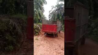 tes skill driver shortvideo sawit angkutsawit [upl. by Maxama321]