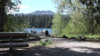 Accessible Adventures McKenzie Pass National Scenic Byway on the Willamette National Forest [upl. by Lenroc]