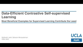 ICML 2023 DataEfficient Contrastive SelfSupervised Learning [upl. by Ardnayek]