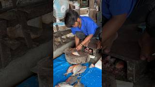 Weekend special😋 fishfry porkcurry duckcurry chattichoru malayalam minivlog shortsfeed [upl. by Onidranreb446]