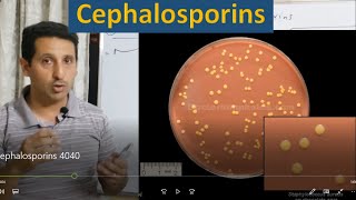 Antibiotics  4  Cephalosporins mechanism uses side effects [upl. by Gilliam]