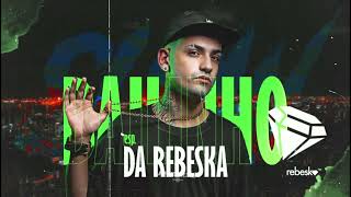 MEGA FUNK ESPECIAL BAILINHO DA REBESKA  DJ SLOW [upl. by Nnyl326]