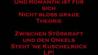 Die Ärzte  Schrei Nach Liebe with Lyrics [upl. by Sremmus401]