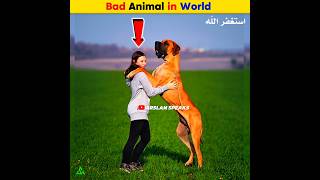 Bad Animal in World  Arslan Speaks facts shortsfeed arslanspeaks amazingfacts [upl. by Haiel]