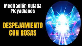 🧘MEDITACIÓN GUIADA 🙏 DESPEJAMIENTO CON ROSAS 🙏 ⁂11 minutos⁂ 🔵 Manual de Ejercicios PLEYADIANOS [upl. by Hussar]