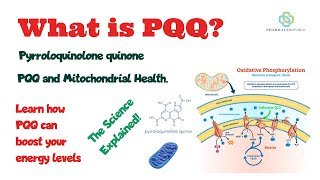 What is PQQ Pyrroloquinolone quinone is a supplement that can boost mitochondrial health [upl. by Sissie410]