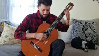 Leo Brouwer  Un Dia de Noviembre cover [upl. by Ddart772]