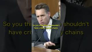 Sen Hawley BLASTS This Director For Shutting Down Mines In The United States DESTROYING Our Supply [upl. by Clevie774]